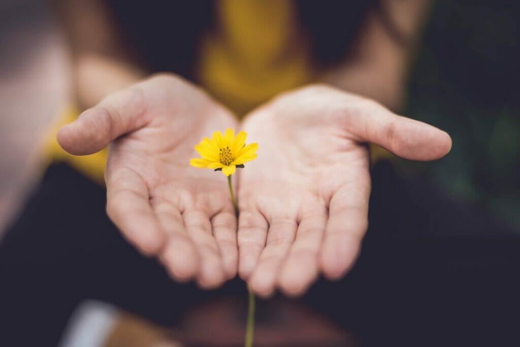 This article is about what it means to be a latina: "soy mujer". The picture shows two hands framing a flower.